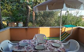 Appartamento Sirolo